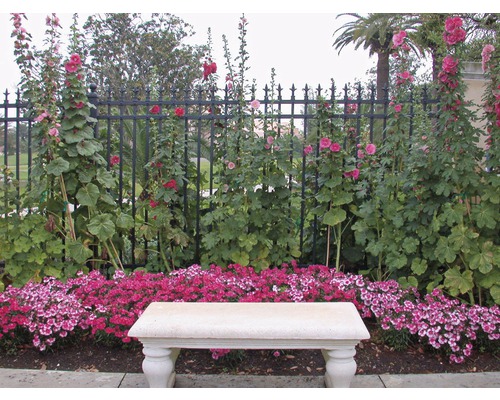 Tuinlandschap met bank, bloemen en hek