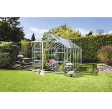 Kas in de tuin met persoon en hond