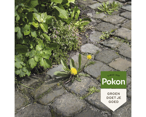 Straatstenen met onkruid en Pokon logo