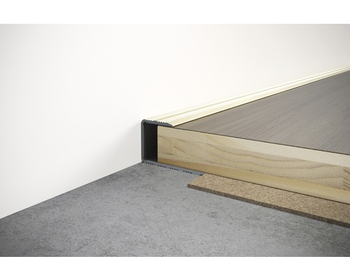 Geïnstalleerd vloerprofiel voor trapkanten van aluminium