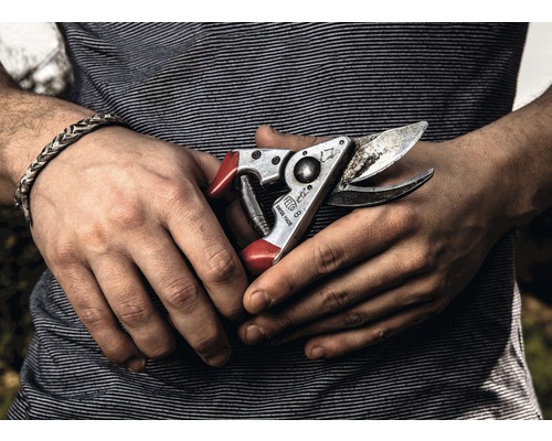 Close-up van een hand met een Felco 8 snoeischaar