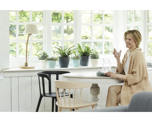 Lichte kamer met tafel, stoelen, kamerplanten en een vrouw met een glas water