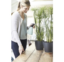 Vrouw besproeit kamerplanten in potten met een spuitfles op een houten tafel