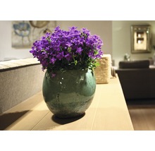 Klokjesbloemen in een pot op een tafel