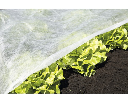 Groentebed met beschermvlies