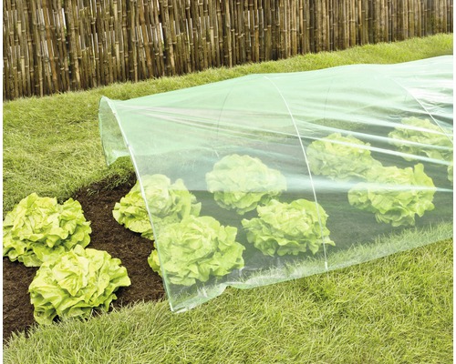 Moestuin met sla onder een planttunnel