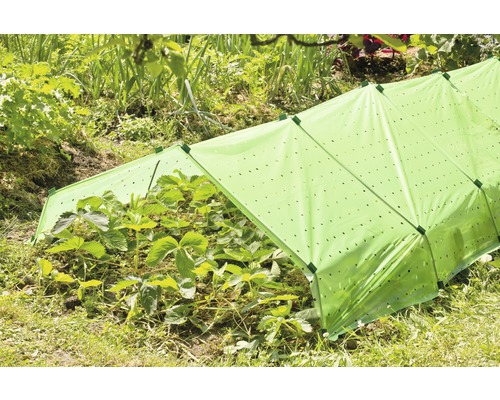 Planten onder een folietunnel in de tuin.