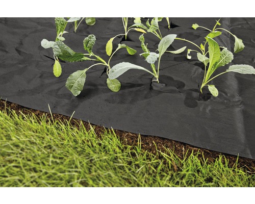 Tuin met gronddoek en planten