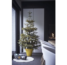 Versierde kerstboom in pot met cadeaus op een tapijt in een woonkamer.