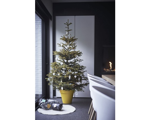 Versierde kerstboom in pot met cadeaus op een tapijt in een woonkamer.