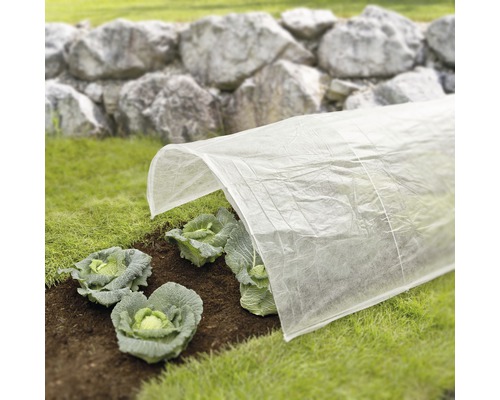 Groentebed met vliesdoek ter bescherming van de planten