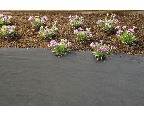 Tuin met anti-onkruiddoek, boomschors en bloeiende anjers