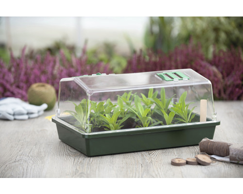 Kweekbak met jonge planten en kweekaccessoires op een tafel