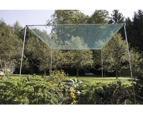 Moestuin met beschermnet op frameconstructie