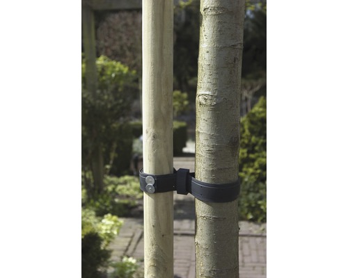 Boomband voor het bevestigen van een boom aan een paal