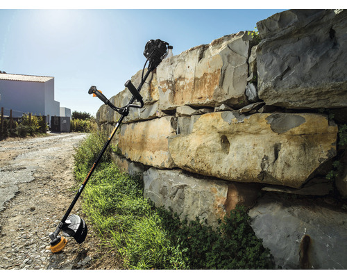 Bosmaaier tegen stenen muur buiten