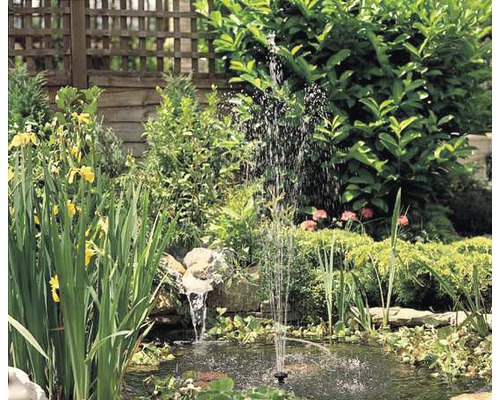 Vijver met fontein omgeven door planten