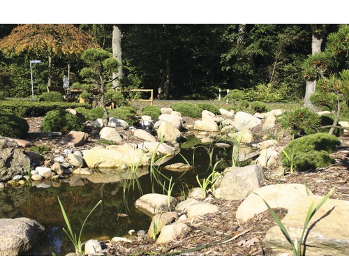 Landschapsfoto van een tuinvijver met stenen en planten