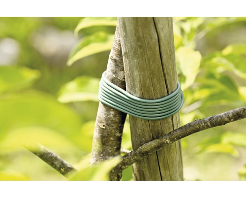 Boomfixeerband voor het bevestigen van een boom aan een houten paal