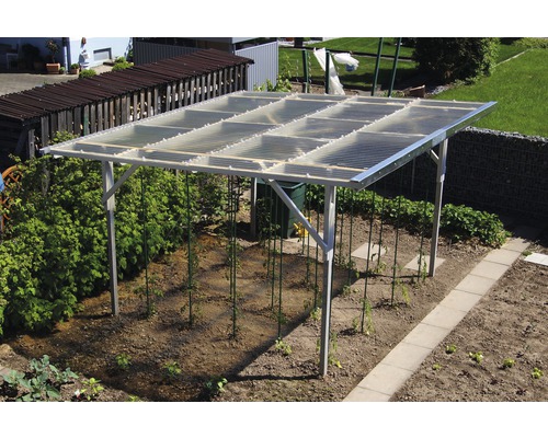 Overdekte tuin met jonge planten en transparant dak