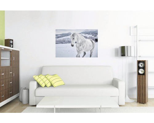 Woonkamer met bank en een muurschildering van een wit paard in de sneeuw