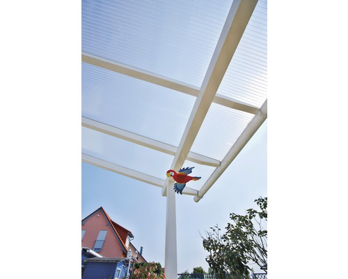 Terrasoverkapping met doorzichtig dak en een decoratieve papegaai