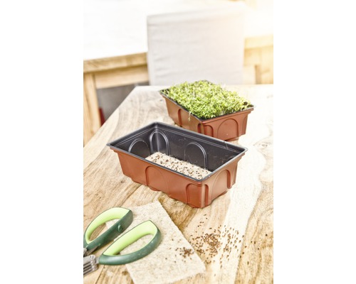 Kresseschaaltjes met tuinkerszaden, zaadmat en tuinschaar op een tafel