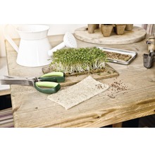Kweekscène met tuinkers, schaar, gieter en zaaibak op een houten tafel