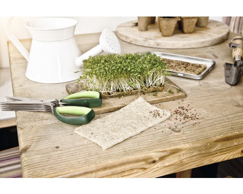 Kweekscène met tuinkers, schaar, gieter en zaaibak op een houten tafel