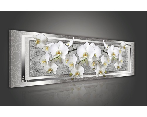 Wanddecoratie met orchideeën in lijst