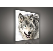 Canvas schilderij met wolfsmotief
