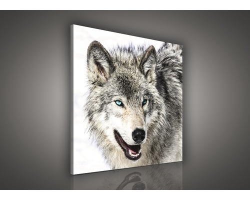 Canvas schilderij met wolfsmotief