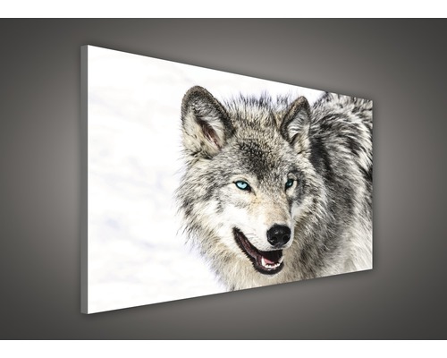 Canvas schilderij met wolfsmotief