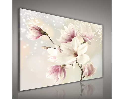 Wanddecoratie met magnolia bloemen