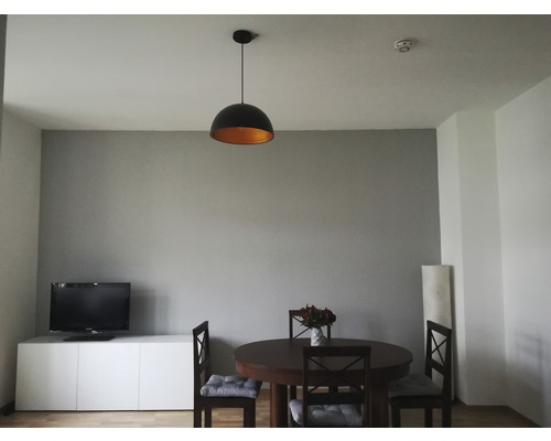 Woonkamer met eettafel en hanglamp