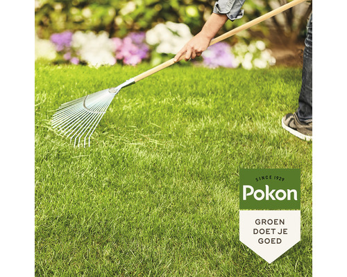 Een persoon die met een hark op een gazon werkt met het Pokon logo op de voorgrond.