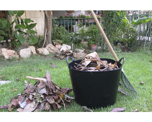 Tuin met bladverzamelaar, bladeren en hark