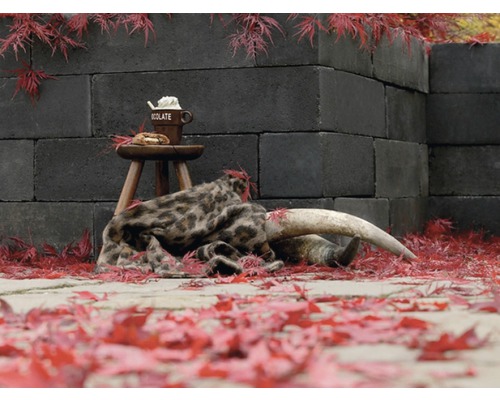 Tuinmuur van betonblokken versierd met drankje, deken en hoorns