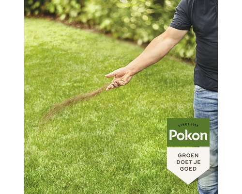 Een persoon zaait graszaad op een gazon, met op de voorgrond het Pokon logo.