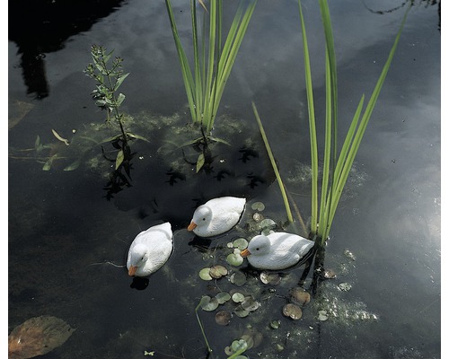 Drie witte drijvende eendenfiguren in de vijver tussen planten