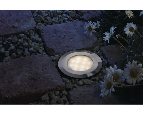 Grondspot op stenen pad met grind en madeliefjes