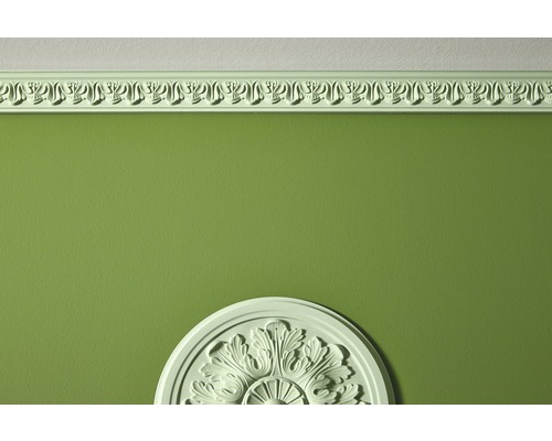 Plafond met sierlijst en rozet