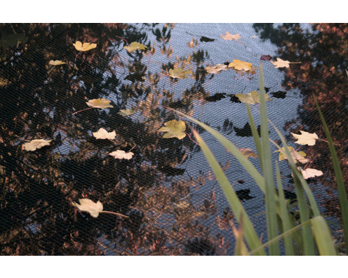 Vijvernet met herfstbladeren op het water