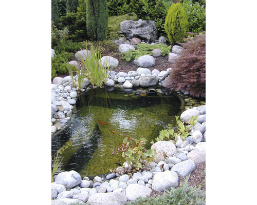 Vijver in de tuin met stenen en planten