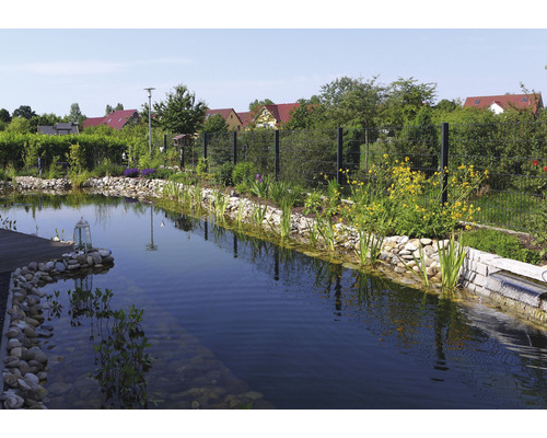 Tuinvijver met stenen, planten en een hek op de achtergrond.