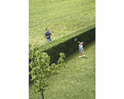 Vader en dochter spelen badminton in de tuin met racket en shuttle over een groene haag.