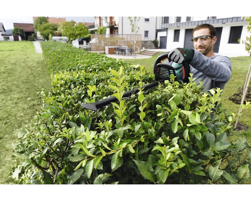 Man snoeit heg met heggenschaar in de tuin.