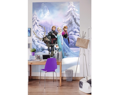 Kamer met fotobehang met het motief Frozen, bureau en stoel