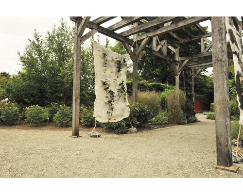 Verticale tuin met plantenzak onder houten frame