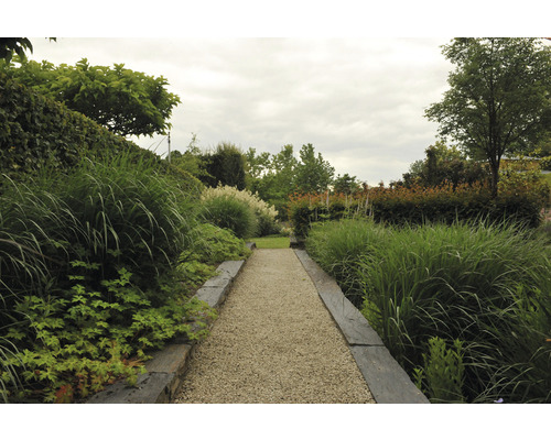 Tuinpad met grind tussen planten en struiken